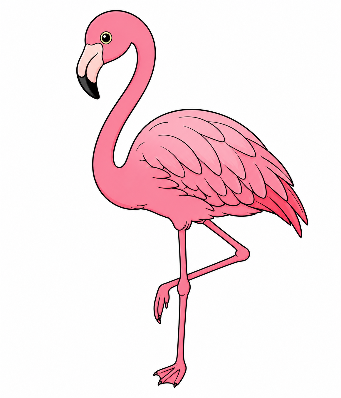 Flamingo